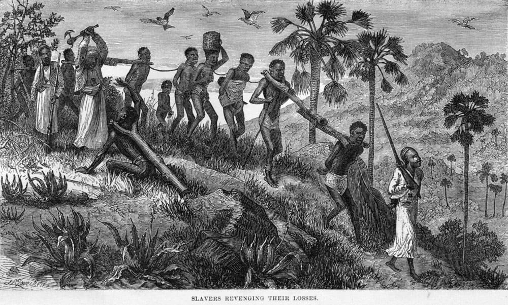 العبيد الأفارقة في المزارع