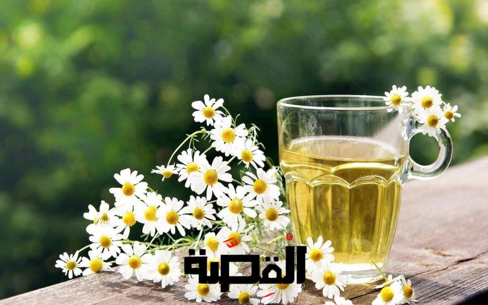 فوائد البابونج للبواسير - مجلة هي