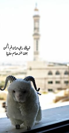  تهنئة بمناسبة عيد الأضحى المبارك 2024